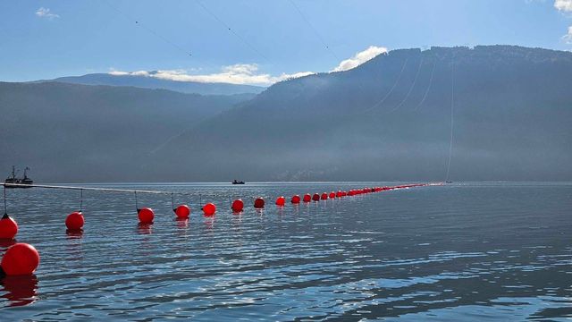 Mener ny strømkabel vil gi dramatisk endring i strømprisen i Midt-Norge