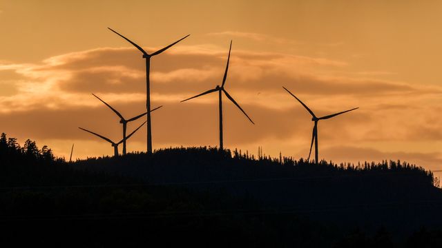 Unge Venstre vil fjerne kommunalt vindkraft-veto