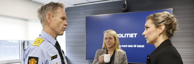 Illustrasjon av Skal fikse alt, uten å gape over for mye