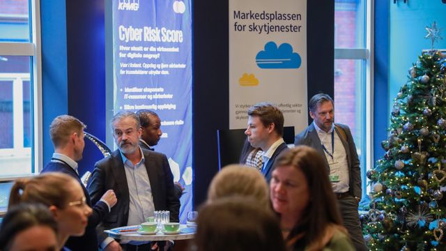 Disse vil lede statens sky-milliarder