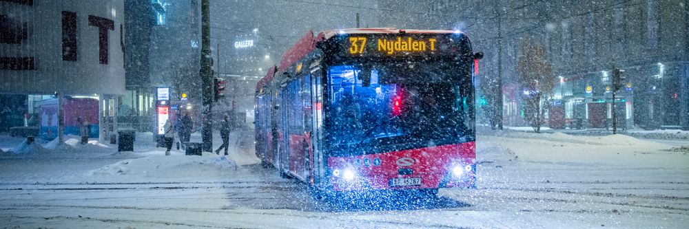 Én ting skal hindre ny kaosvinter – kun 15 av 183 busser har det