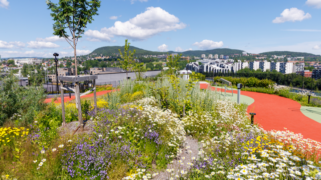 Dataspill hjelper nabolag med grønne løsninger