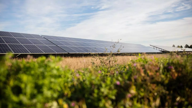 Negative strømpriser får dansk leverandør til å utsette solcelleprosjekter for tre millioner husstander