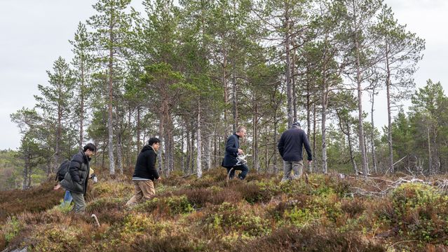 Norske kommuner må ut av kjernekrafttåken