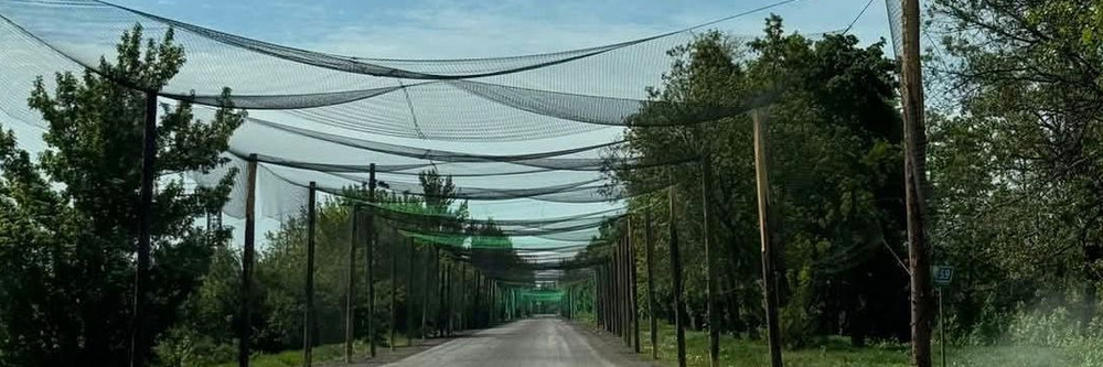 Illustrasjon av Ønsker 4000 km fiskegarn over ukrainske veier i løpet av året