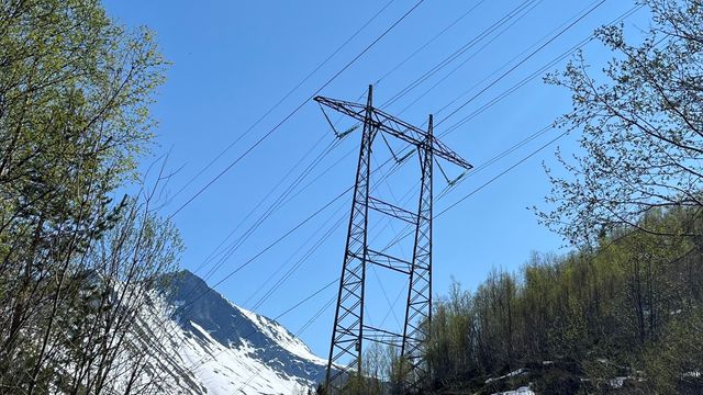 Få byttet strømleverandør i fjor