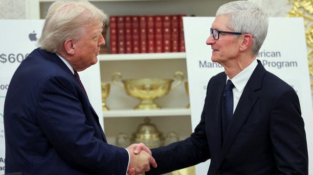 Apple slipper unna halvleder-tollen