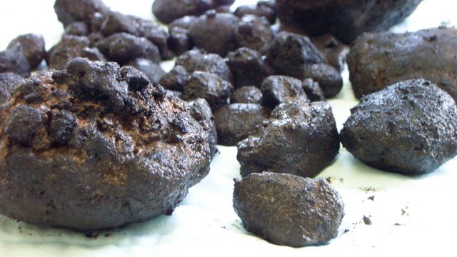 Ny forskning: Disse kan være viktig oksygenkilde for dyphavet 