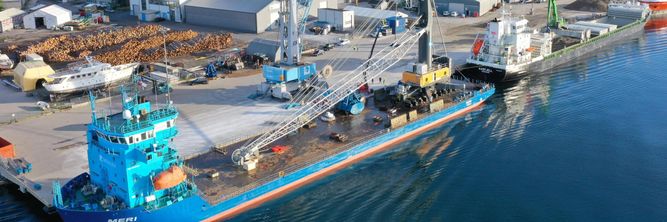 Illustrasjon av – Mobilisert kraftig motstand