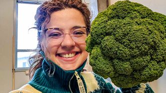 Illustrasjon av To avlinger i året med restvarme fra datasentre