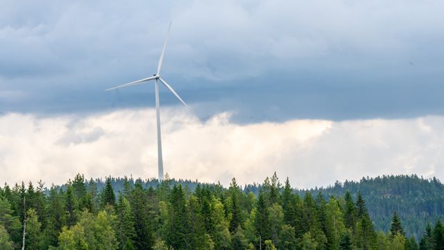 Norske kommuner vil stanse vindkraft i Sverige