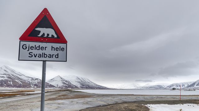 Vil ha beredskapslager på Svalbard