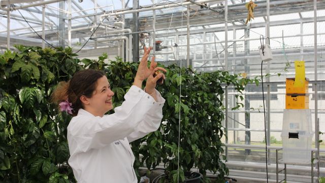 Vil bruke restvarme til matproduksjon