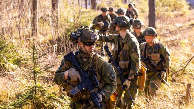 Utvalg: Norgespris bidrar til økt kraftforbruk