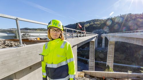 Illustrasjon av Planlegger Sørlandets høyeste bru