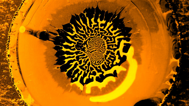 Forsket på kaffesøl – oppdaget labyrinter