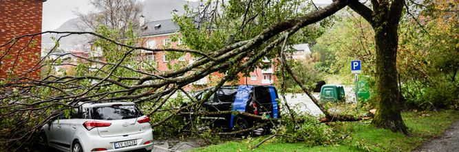Illustrasjon av Det er stille i orkanens øye. Takket være Telenor og co