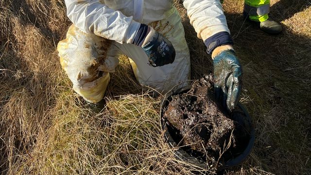 Njord-aksjonen har kostet Equinor mer enn 120 millioner kroner