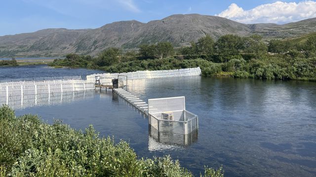 Slik bør Norge anvende KI