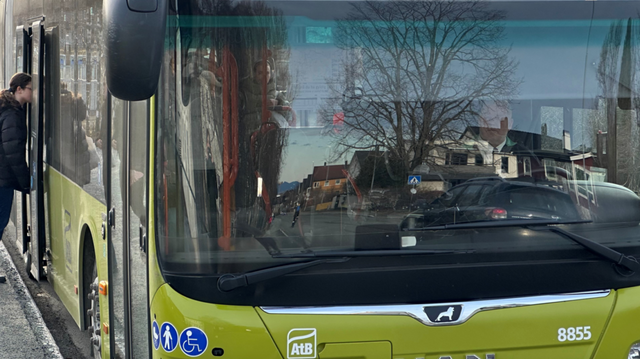 Det er vanskeligere enn du tror å være bussjåfør