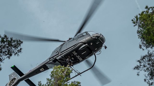 Kapper risikoskog langs høyspentlinjer med spesiell helikoptersag