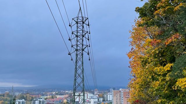 Svensker frykter norgespris: – Hele det nordiske markedet presses opp