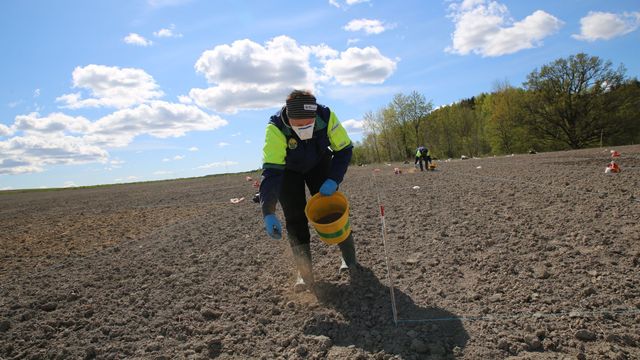Nye gjødselregler gir fosforoverskudd i vest: – Betent