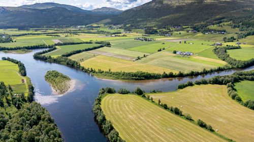 Illustrasjon av Skal vi nå klimamålene? Dette må til