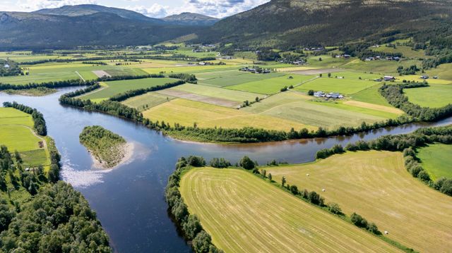 Miljødirektoratet: De neste ti årene er avgjørende for å nå klimamålene