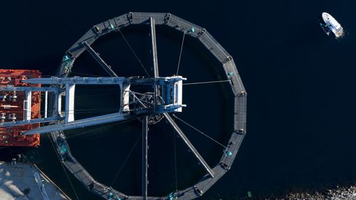 Illustrasjon av Omstridt oppdretts­anlegg sjøsatt