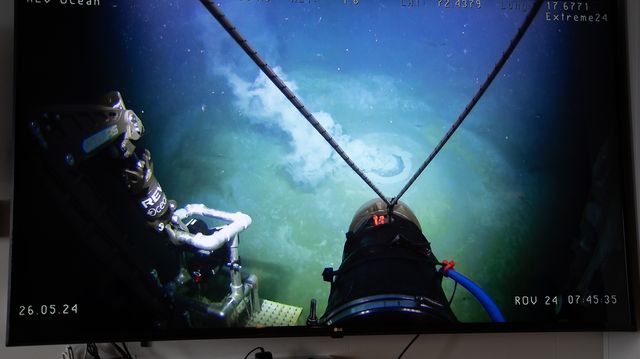 Undervannsvulkaner er fristed for marine organismer