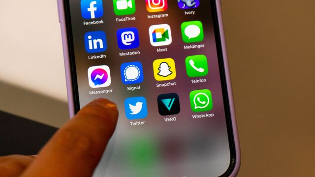 EØS-ekspert hardt ut mot forslag om aldersgrense på sosiale medier