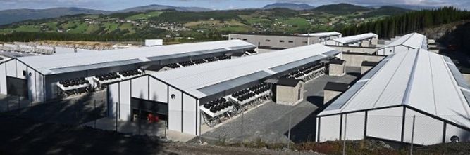 Illustrasjon av – Total skivebom