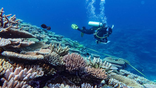 FN-traktat for beskyttelse av havet har trådt i kraft