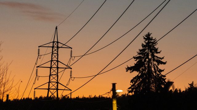 Forbrukerrådet: Medlemsavtaler gir svindyr strøm