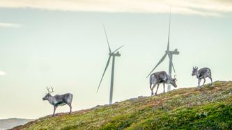 Illustrasjon av MDG, NHO og Natur og Ungdom med felles front for vindkraft