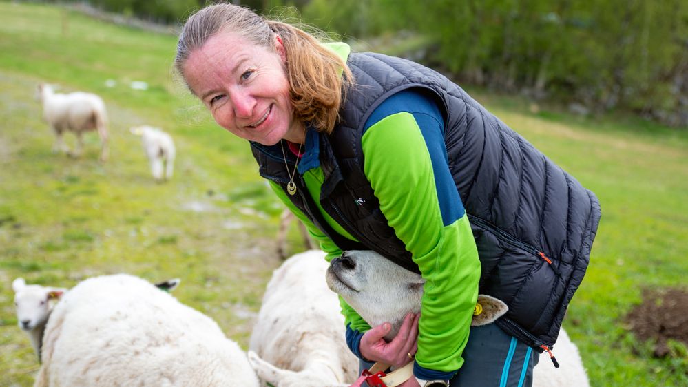 Illustrasjon av Marit ville løse eget problem – glemte å lese det med liten skrift