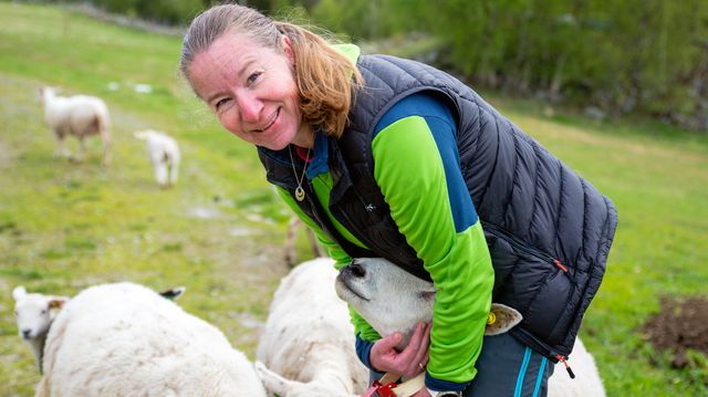 Ble gründer da hun glemte å lese det med liten skrift