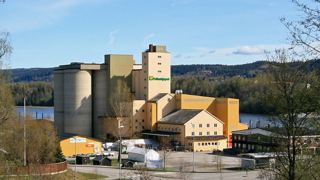 Gjem kornet under bakken