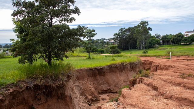 Naturens siste skrik