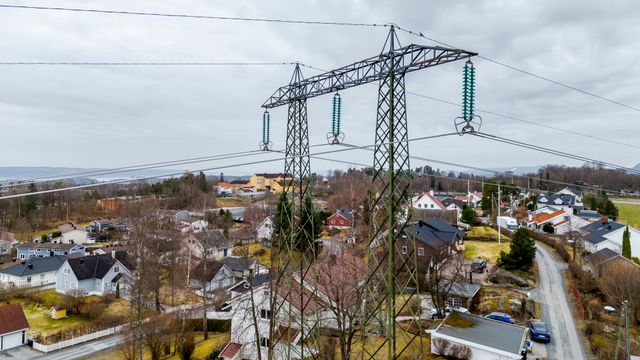 Norgespris kan være i strid med EØS-avtalen