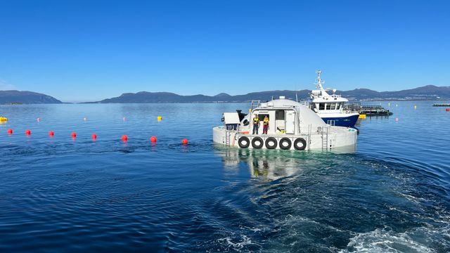 Statnett mener sjømatnæringens nettfloke vil løse seg