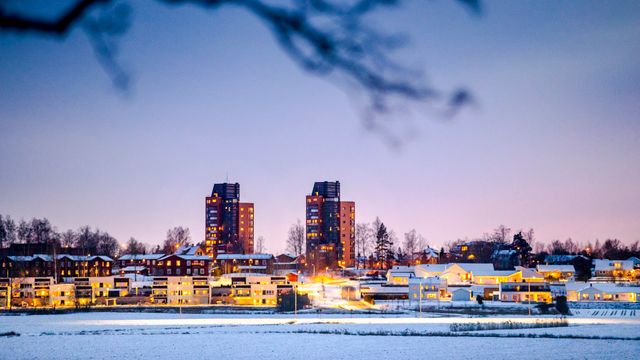 Lokalavis: IT-sjef «sendt hjem» etter cyberangrep