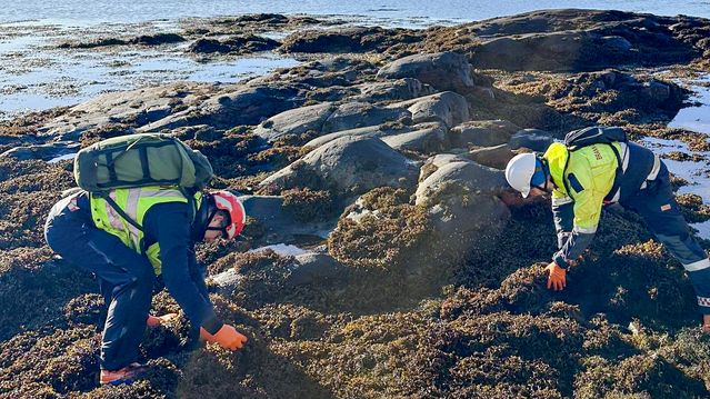 Njord-etterforskningen: Jobber med å slå fast om forurensingen er straffbar