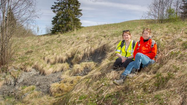 Hvorfor raste egentlig denne grasbakken ut?