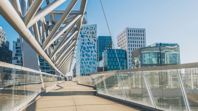 Innleiekaoset: Mener konsulenthusene kan få det beste av to verdener