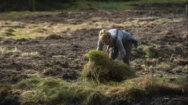 Ny EU-lov kan utvide EØS-avtalen til forvaltning av natur