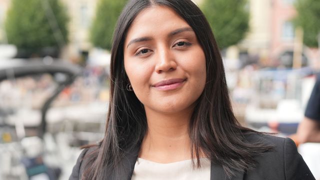 Digitaliseringsstrategien 2030: Det grønne skiftet og datasentre bør være første prioritet