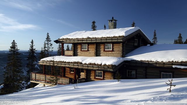 Styringspartiene har blitt strømpopulister