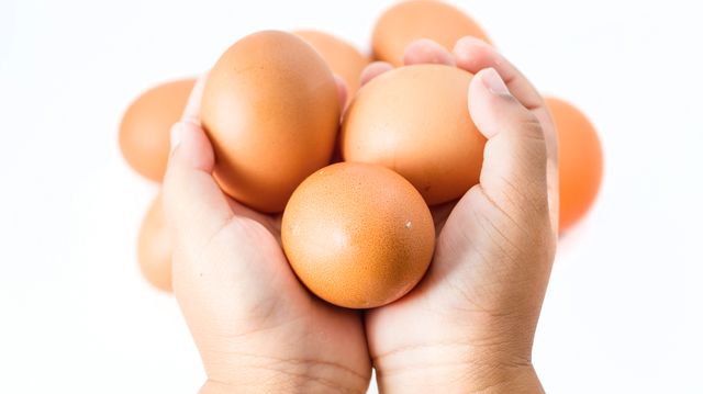 Hønseegg kan i mange tilfelle erstatte forsøksdyr